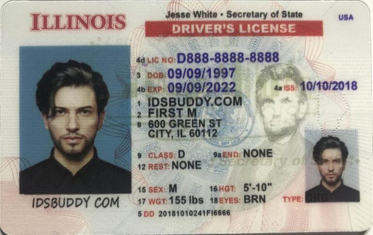 Best Fake ID Websites to Avoid Scams and Get Quality IDs